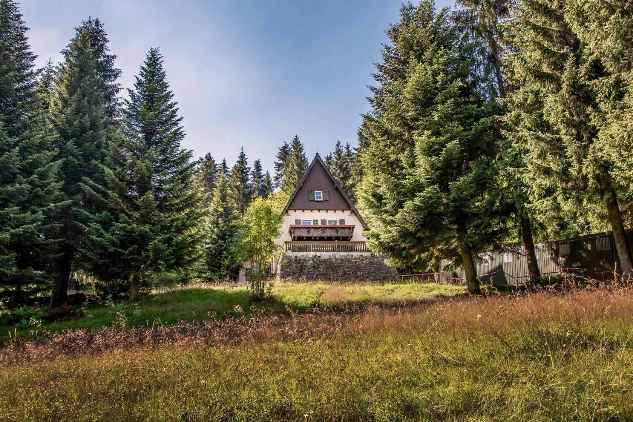 Вилла Berghaus Carlsfeld Айбеншток Экстерьер фото